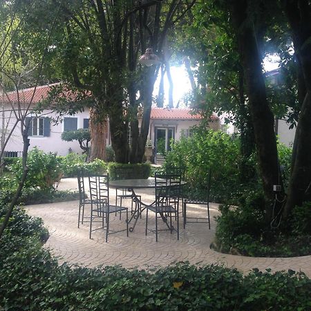 Villa Abbamer Grottaferrata Ngoại thất bức ảnh